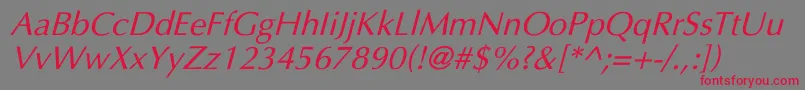 フォントUltimaItalic – 赤い文字の灰色の背景
