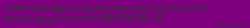 FlwScript Font – Black Fonts on Purple Background