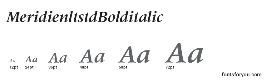 Размеры шрифта MeridienltstdBolditalic