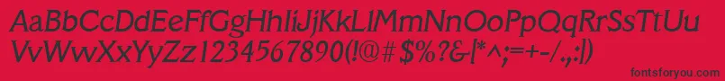 VeracruzItalic Font – Black Fonts on Red Background