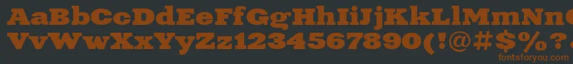 XeniaextendedcBold Font – Brown Fonts on Black Background
