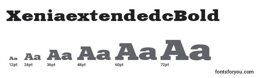 XeniaextendedcBold Font Sizes