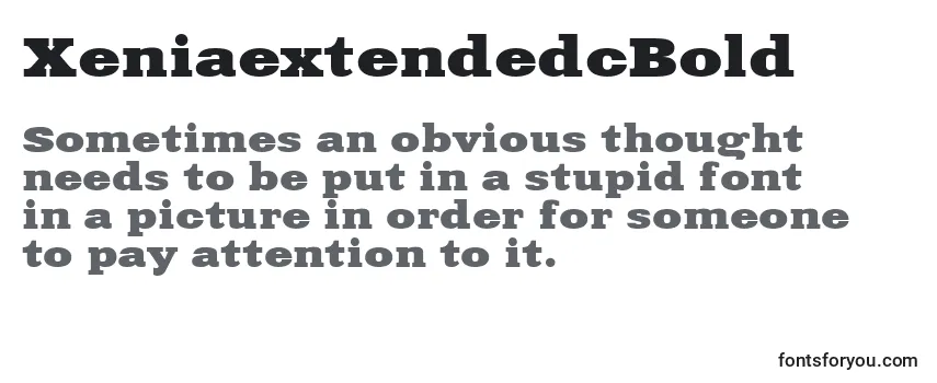 Review of the XeniaextendedcBold Font