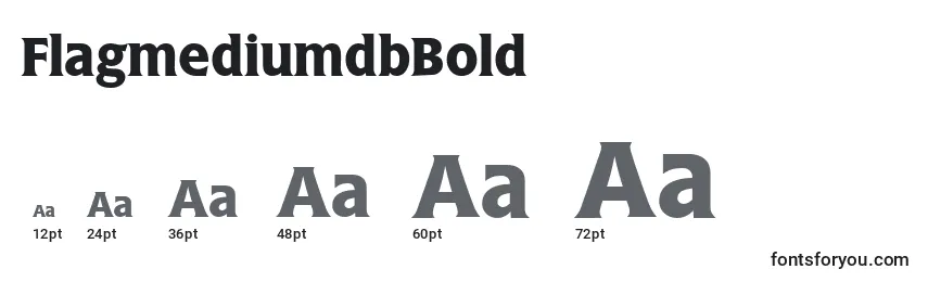 FlagmediumdbBold Font Sizes