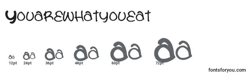 Youarewhatyoueat Font Sizes