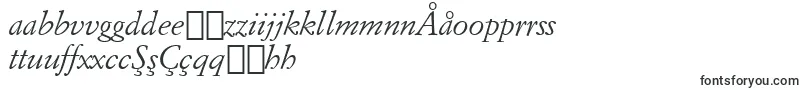フォントItalianGaramondItalicBt – ウズベク文字