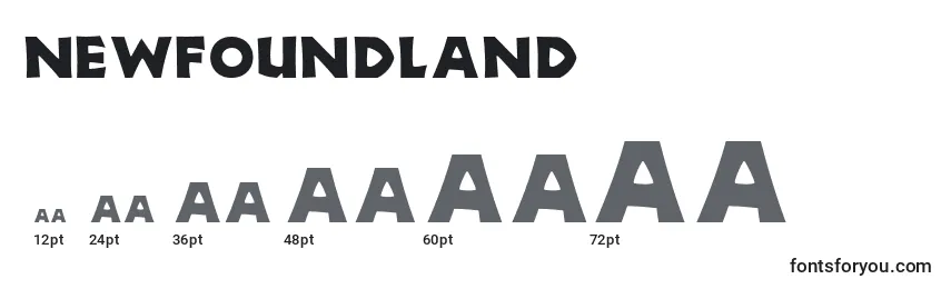 Размеры шрифта Newfoundland