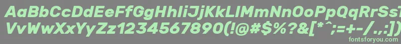 RubikBolditalic Font – Green Fonts on Gray Background