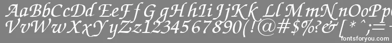 Más sobre la fuente ZapfChanceryItalic fuente ZapfChanceryItalic – Fuentes Blancas Sobre Fondo Gris