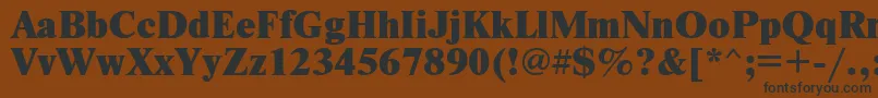 Newtonxc Font – Black Fonts on Brown Background