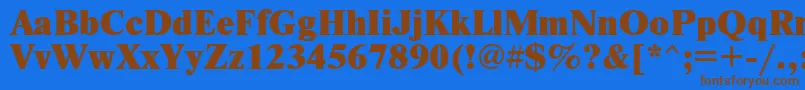 Newtonxc Font – Brown Fonts on Blue Background