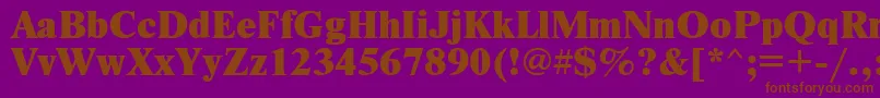 Newtonxc Font – Brown Fonts on Purple Background