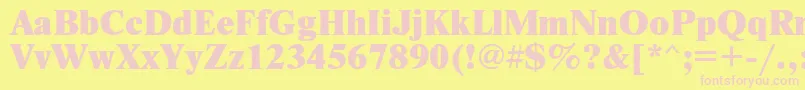Newtonxc Font – Pink Fonts on Yellow Background
