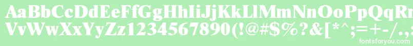 Newtonxc Font – White Fonts on Green Background