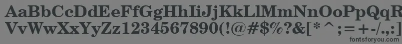 CenturySchoolbookBoldWin95bt Font – Black Fonts on Gray Background