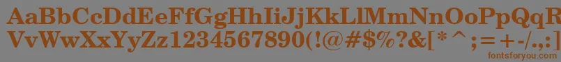 CenturySchoolbookBoldWin95bt Font – Brown Fonts on Gray Background
