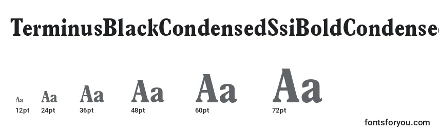TerminusBlackCondensedSsiBoldCondensed Font Sizes