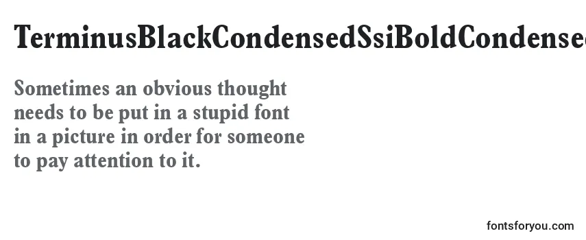 TerminusBlackCondensedSsiBoldCondensed Font