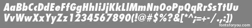 FuturaLtCondensedExtraBoldOblique Font – White Fonts on Gray Background