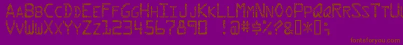 Circuit Font – Brown Fonts on Purple Background