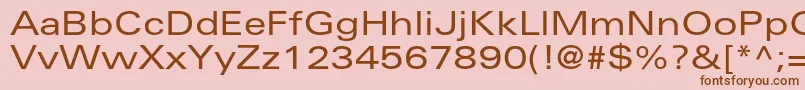 UniversltstdEx Font – Brown Fonts on Pink Background