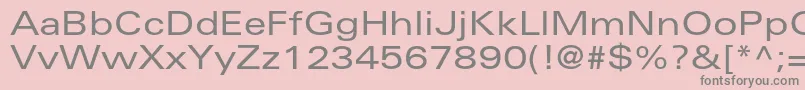 UniversltstdEx Font – Gray Fonts on Pink Background