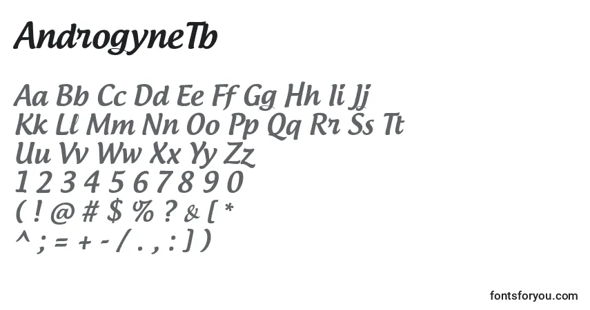 Czcionka AndrogyneTb – alfabet, cyfry, specjalne znaki