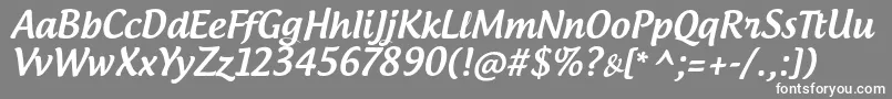 AndrogyneTb Font – White Fonts on Gray Background