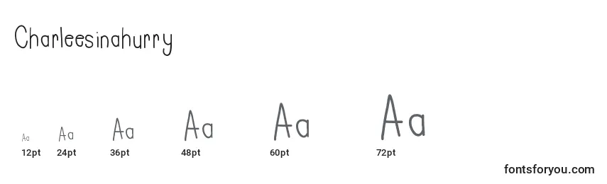 Charleesinahurry Font Sizes