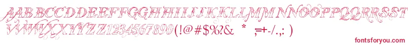 VtksThanksYou Font – Red Fonts on White Background