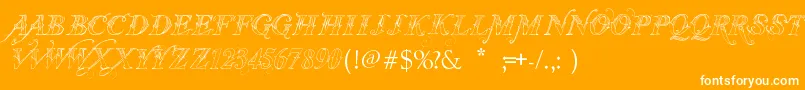 VtksThanksYou Font – White Fonts on Orange Background