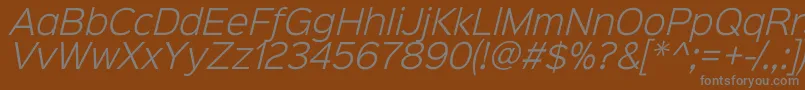フォントSinkinsans300lightitalic – 茶色の背景に灰色の文字