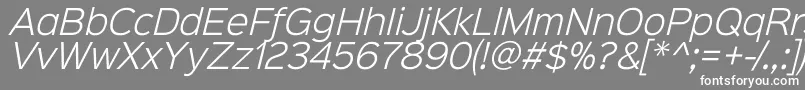 Sinkinsans300lightitalic Font – White Fonts on Gray Background