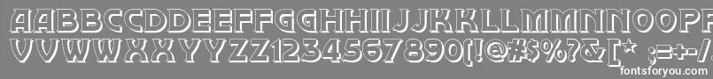 フォントBrownwoodshadownf – 灰色の背景に白い文字