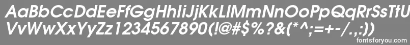 フォントAgavalanchecBolditalic – 灰色の背景に白い文字
