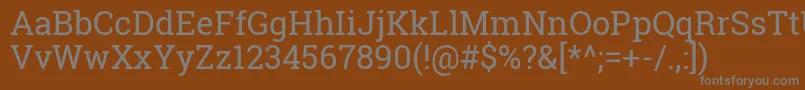 RobotoSlabRegular Font – Gray Fonts on Brown Background