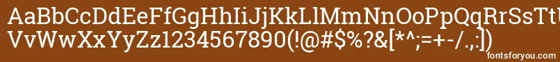 フォントRobotoSlabRegular – 茶色の背景に白い文字