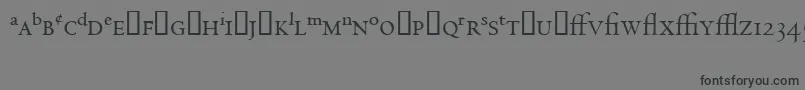 Шрифт CentaurExpertMt – чёрные шрифты на сером фоне