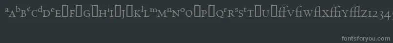 フォントCentaurExpertMt – 黒い背景に灰色の文字