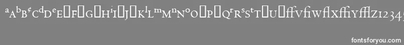 フォントCentaurExpertMt – 灰色の背景に白い文字