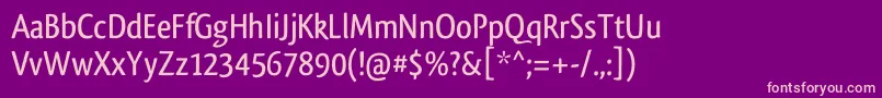 QlassikTb Font – Pink Fonts on Purple Background