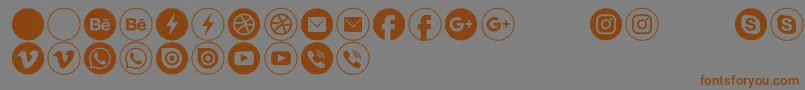 フォントTypeecon – 茶色の文字が灰色の背景にあります。