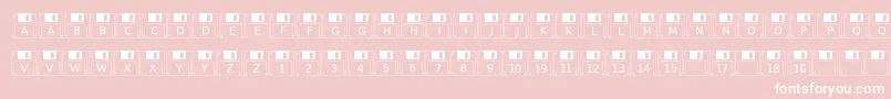 Floppydisk Font – White Fonts on Pink Background