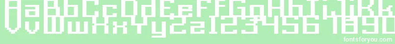 Acme9RegularBoldXtnd Font – White Fonts on Green Background