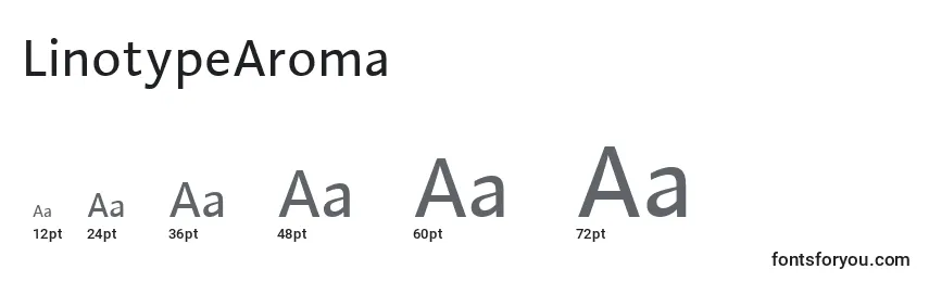 Размеры шрифта LinotypeAroma