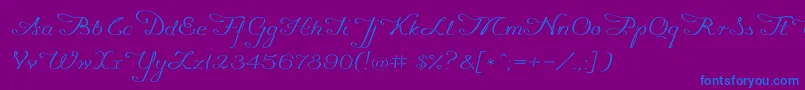 Promocyja096 Font – Blue Fonts on Purple Background