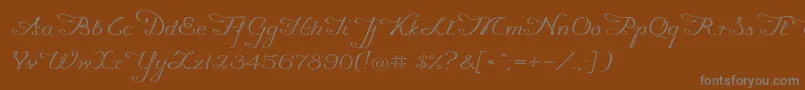 フォントPromocyja096 – 茶色の背景に灰色の文字