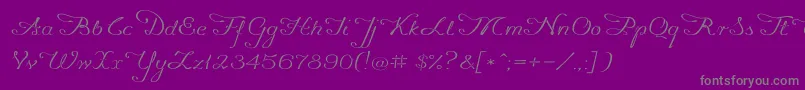 Promocyja096 Font – Gray Fonts on Purple Background