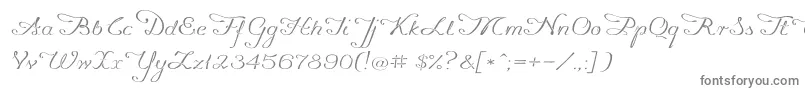Promocyja096-Schriftart – Graue Schriften auf weißem Hintergrund