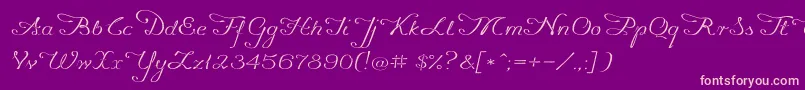 Więcej informacji o czcionce Promocyja096 Czcionka Promocyja096 – różowe czcionki na fioletowym tle